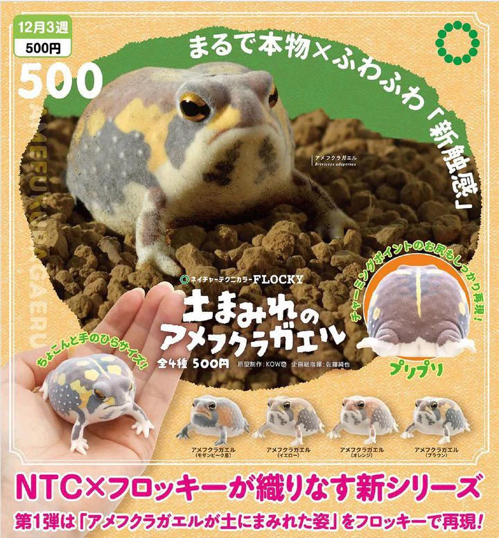 Flocked Desert Rain Frog [gachapon] – Capsule City Toys