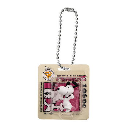 PEANUTS Package Miniature Collection [gachapon]