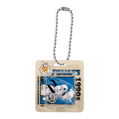 PEANUTS Package Miniature Collection [gachapon]