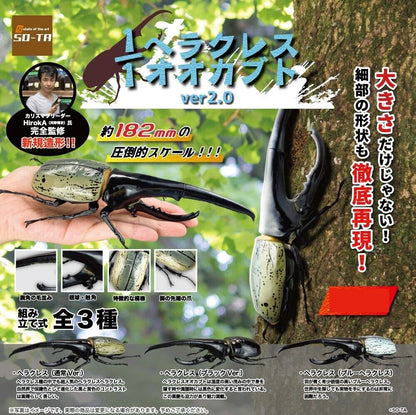 1/1 Hercules Beetle ver2.0 [gachapon]