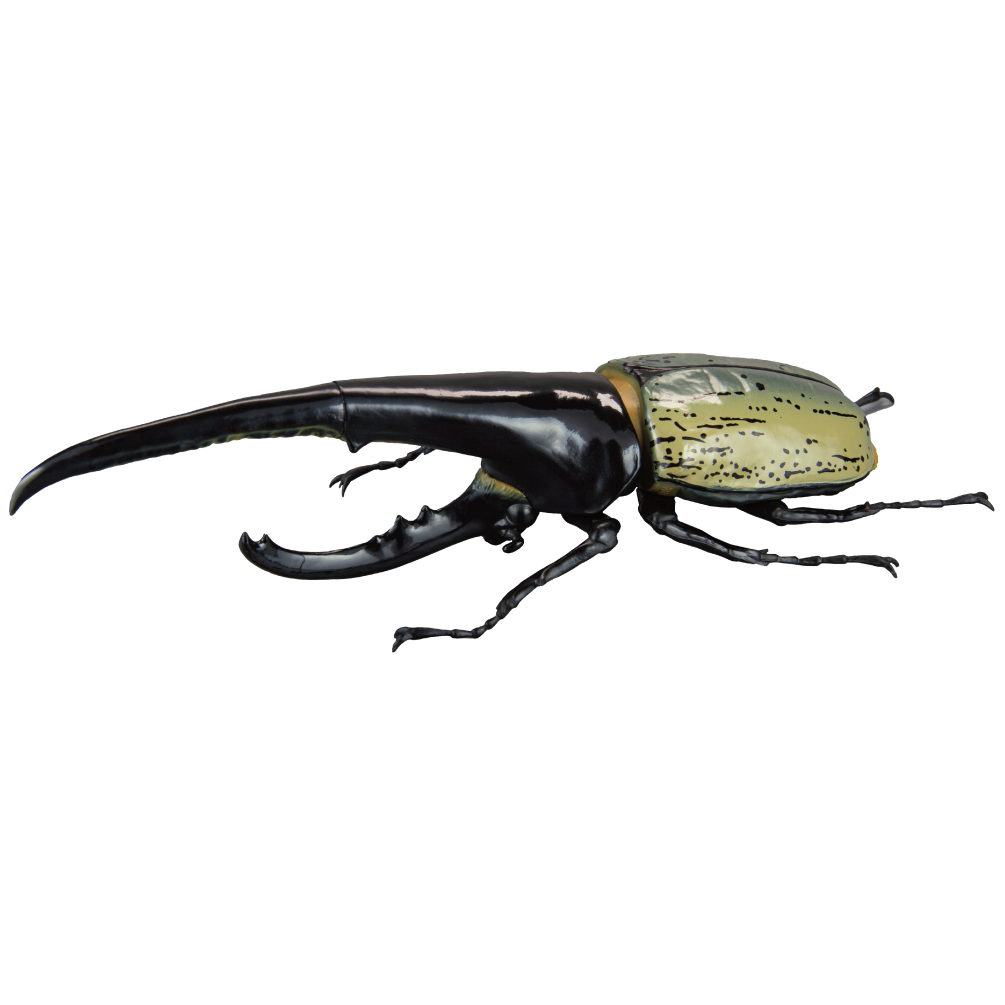 1/1 Hercules Beetle ver2.0 [gachapon]