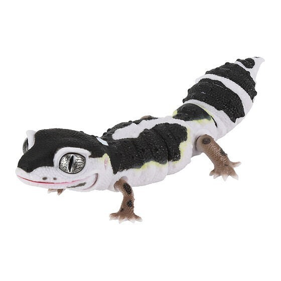 Living Creatures Encyclopedia Reptile Edition [gachapon]