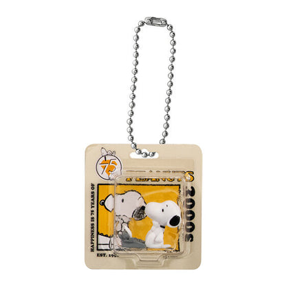 PEANUTS Package Miniature Collection [gachapon]