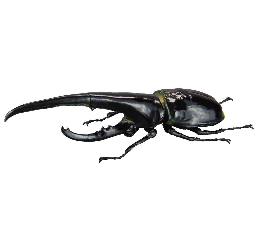 1/1 Hercules Beetle ver2.0 [gachapon]