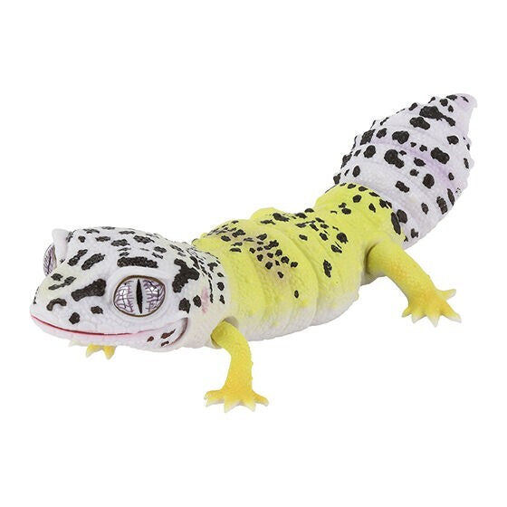 Living Creatures Encyclopedia Reptile Edition [gachapon]