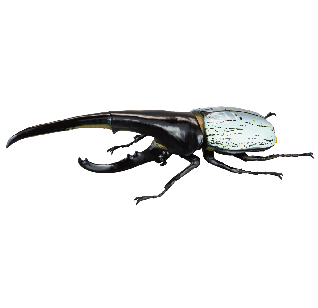 1/1 Hercules Beetle ver2.0 [gachapon]