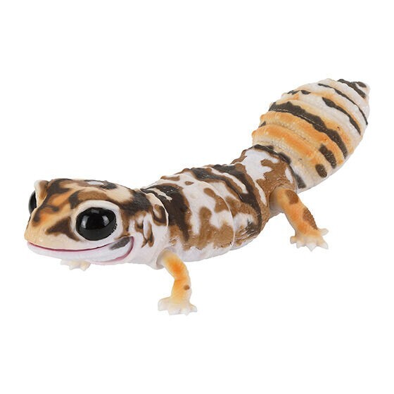 Living Creatures Encyclopedia Reptile Edition [gachapon]
