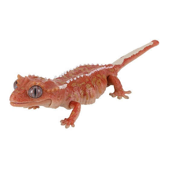 Living Creatures Encyclopedia Reptile Edition [gachapon]