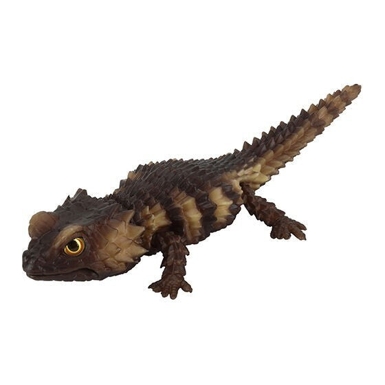 Living Creatures Encyclopedia Reptile Edition [gachapon]