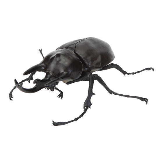 The Great Encyclopedia of Living Things: Beetles 11 [gachapon]