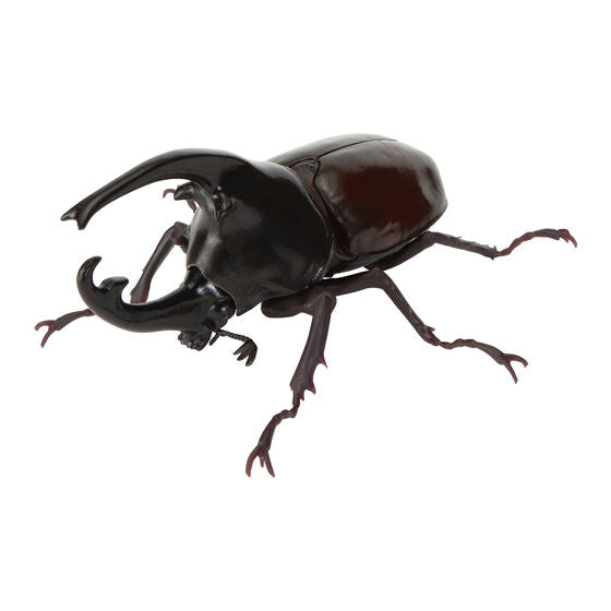 The Great Encyclopedia of Living Things: Beetles 11 [gachapon]