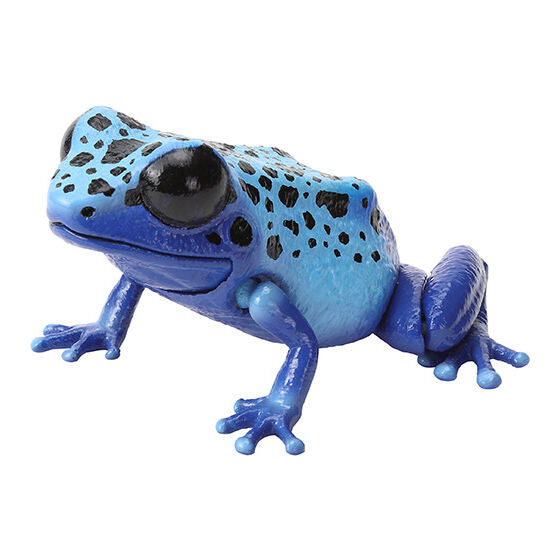 The Great Illustrated Guide to Living Creatures Repti the Poison Dart Frog [gachapon]