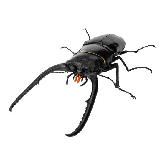 The Great Encyclopedia of Living Things: Stag Beetles 11 [gachapon]