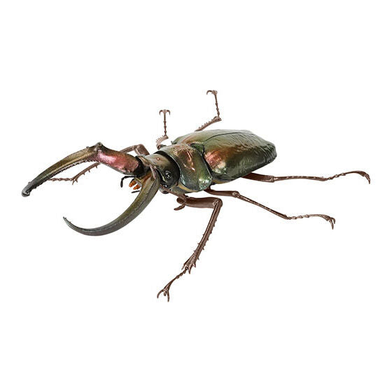Living Creatures Encyclopedia: Stag Beetle 10 [gachapon]
