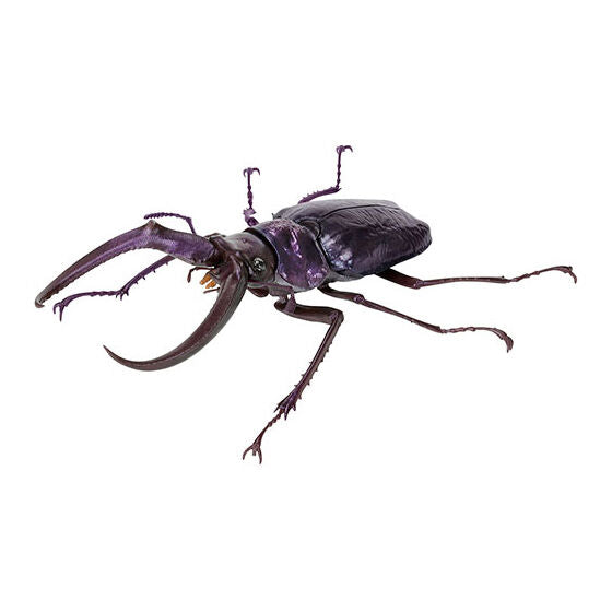 Living Creatures Encyclopedia: Stag Beetle 10 [gachapon]