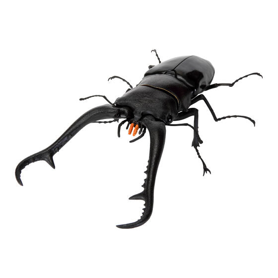 The Great Encyclopedia of Living Things: Stag Beetles 11 [gachapon]