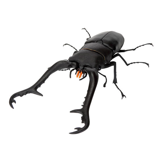 The Great Encyclopedia of Living Things: Stag Beetles 11 [gachapon]