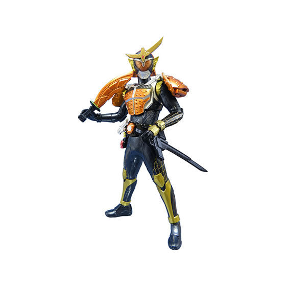 HG Kamen Rider NEW EDITION Vol.01 [gachapon]
