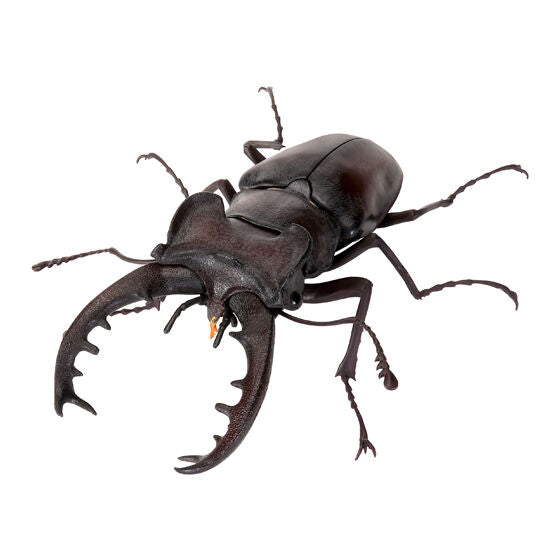 The Great Encyclopedia of Living Things: Stag Beetles 11 [gachapon]