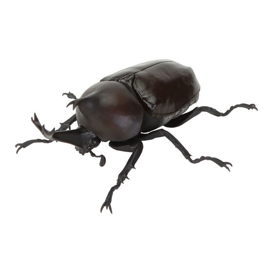 The Great Encyclopedia of Living Things: Beetles 11 [gachapon]