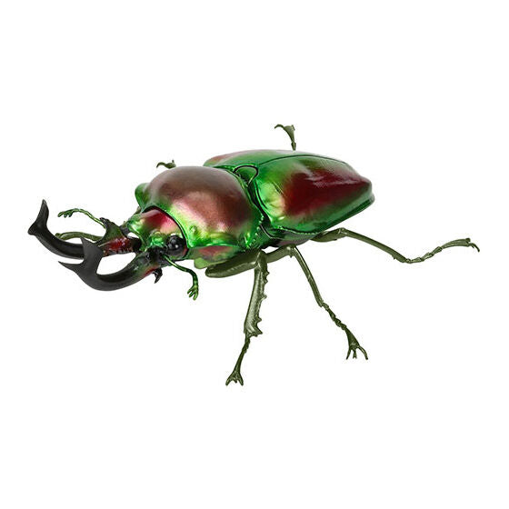 Living Creatures Encyclopedia: Stag Beetle 10 [gachapon]