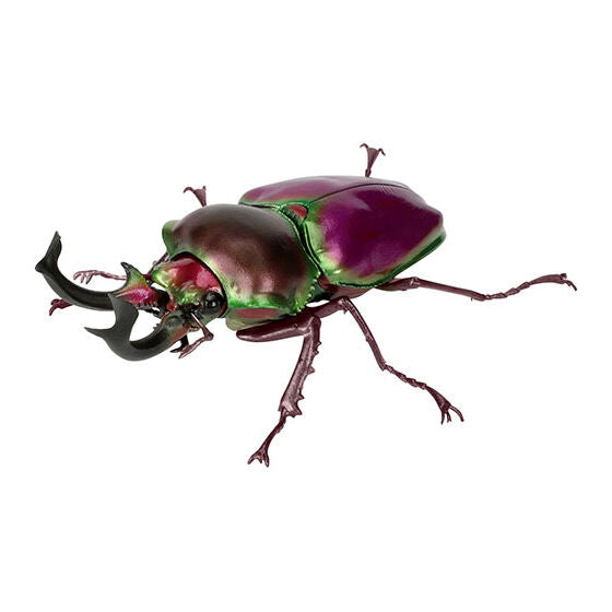 Living Creatures Encyclopedia: Stag Beetle 10 [gachapon]