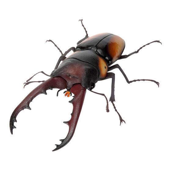 The Great Encyclopedia of Living Things: Stag Beetles 11 [gachapon]