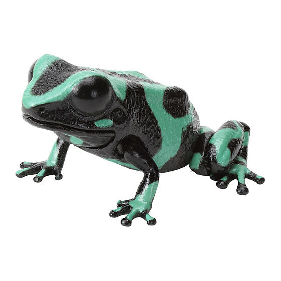 The Great Illustrated Guide to Living Creatures Repti the Poison Dart Frog [gachapon]