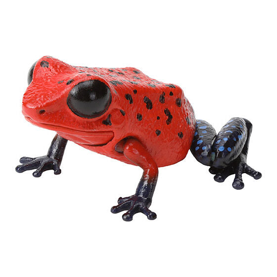 The Great Illustrated Guide to Living Creatures Repti the Poison Dart Frog [gachapon]