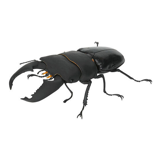 Living Creatures Encyclopedia: Stag Beetle 10 [gachapon]