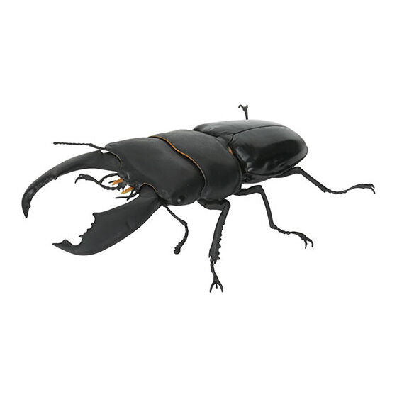 Living Creatures Encyclopedia: Stag Beetle 10 [gachapon]