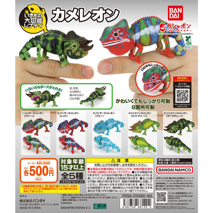 The Great Encyclopedia of Living Things: Chameleons [gachapon]