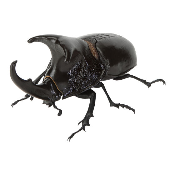 The Great Encyclopedia of Living Things: Beetles 11 [gachapon]