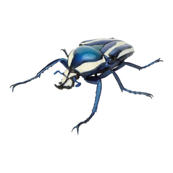 The Great Encyclopedia of Living Things: Beetles 11 [gachapon]