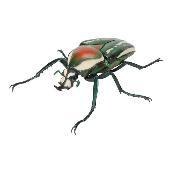 The Great Encyclopedia of Living Things: Beetles 11 [gachapon]