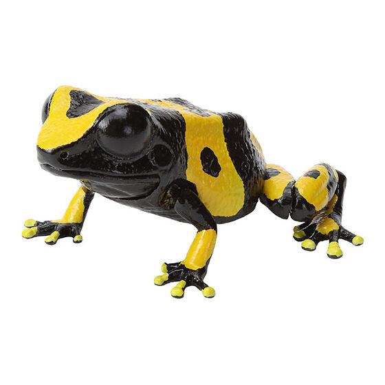 The Great Illustrated Guide to Living Creatures Repti the Poison Dart Frog [gachapon]